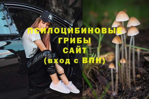 стаф Балабаново